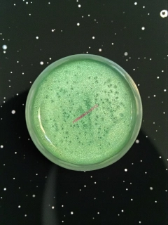 RYVALURES-PLASTISOL COLOR PEARL PEPPERMINT GREEN 30ML.