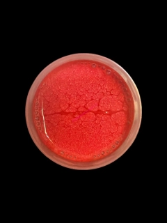 RyvaLures Softbait Paint Pearl Candy Red 30ml